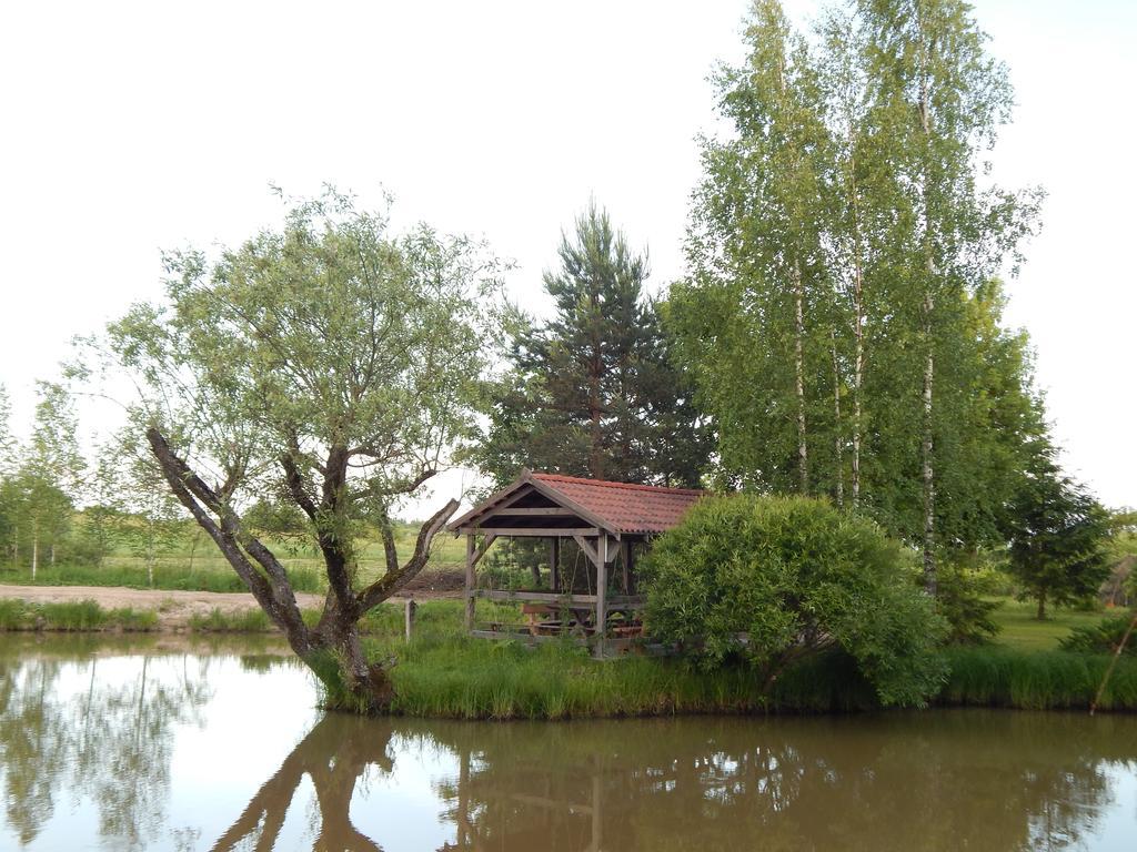 Pie Veca Kaleja Hotel Dyneburg Zewnętrze zdjęcie