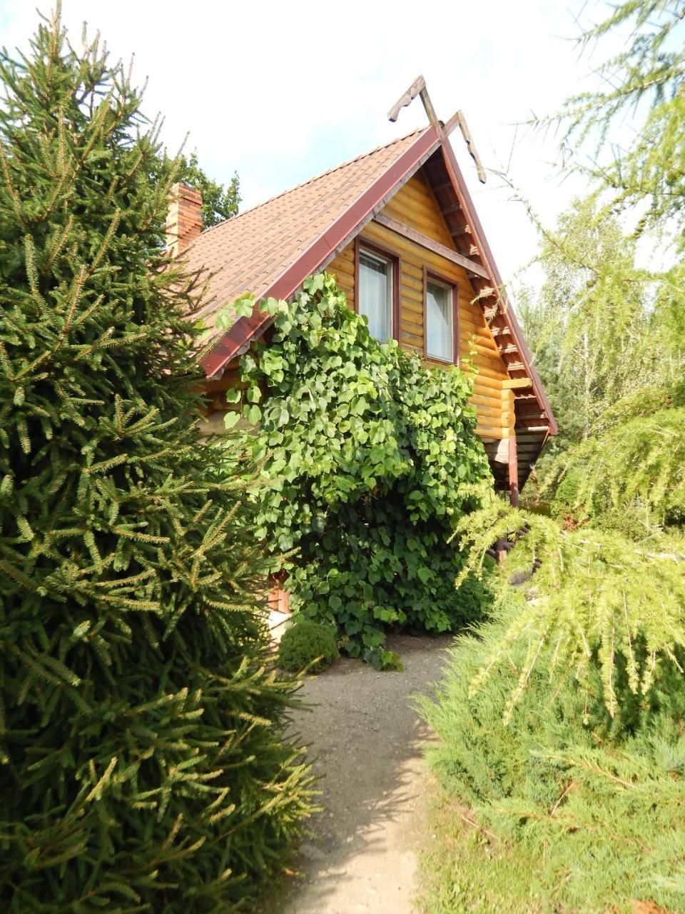 Pie Veca Kaleja Hotel Dyneburg Zewnętrze zdjęcie